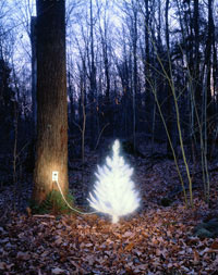 2nddigital�Z�J���h�f�W�^���C���[�W